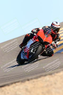 media/Feb-12-2022-SoCal Trackdays (Sat) [[3b21b94a56]]/Turn 12 (140pm)/